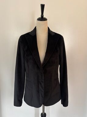 Straight To Hell Women’s Velvet Blazer Sz 8